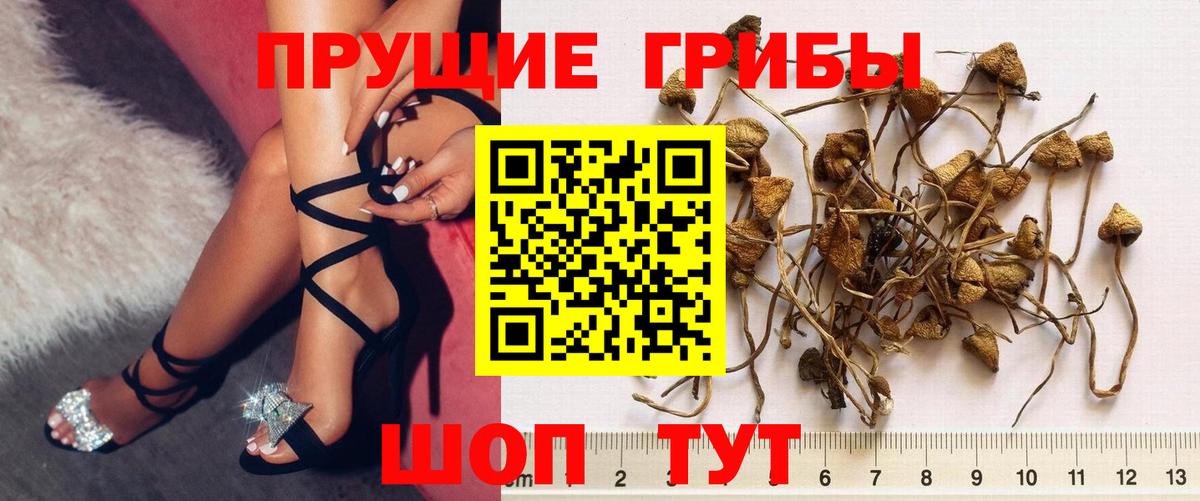 Галлюциногенные грибы прущие грибы  Вход с VPN  Балашов  Галлюциногенные грибы ЛСД 