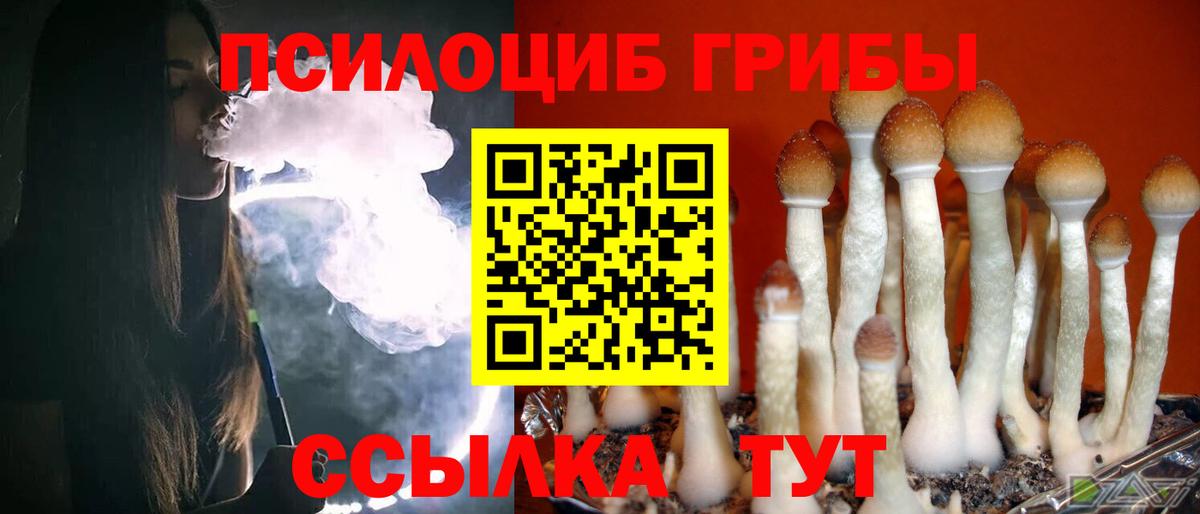 Галлюциногенные грибы Magic Shrooms Балашов